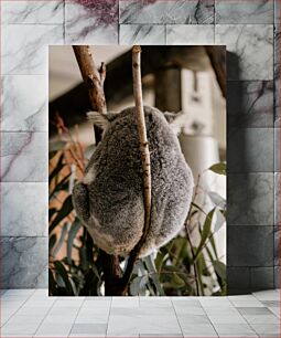 Πίνακας, Koala on a Tree Κοάλα σε ένα δέντρο