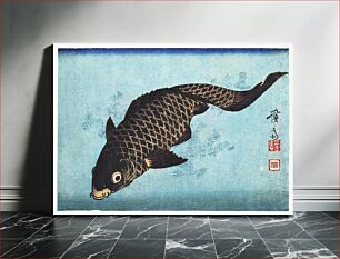 Πίνακας, Koi (1842) Japanese fish illustration by Keisai Eisen