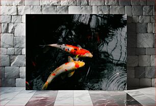 Πίνακας, Koi Fish in a Pond Ψάρια Koi σε μια λίμνη