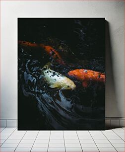 Πίνακας, Koi Fish in Pond Koi Fish in Pond