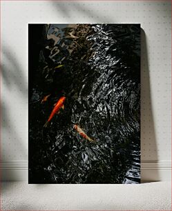 Πίνακας, Koi Fish in Reflective Water Ψάρια Koi σε ανακλαστικό νερό