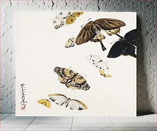 Πίνακας, Lacquer paintings of various subjects: Butterflies (1881) by Shibata Zeshin