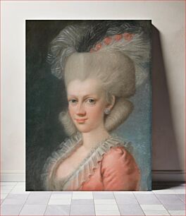 Πίνακας, Lady with a wig, Joseph Friedrich Wagner