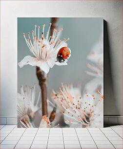 Πίνακας, Ladybug on a Blossom Πασχαλίτσα σε άνθος