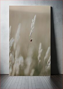 Πίνακας, Ladybug on a Wheat Spike Πασχαλίτσα σε μια ακίδα σίτου