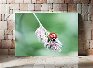 Πίνακας, Ladybug on Grass Πασχαλίτσα στο γρασίδι