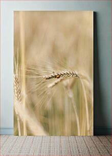 Πίνακας, Ladybug on Wheat Πασχαλίτσα στο σιτάρι