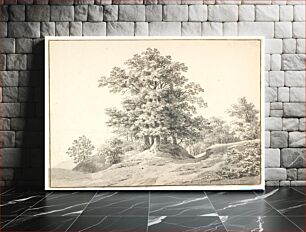 Πίνακας, Landscape with large trees by the Elbe.Buxte skin, Anton Carl Dusch
