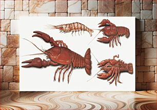 Πίνακας, Langoustine, two crayfish and shrimp (1560–1585) by anonymous