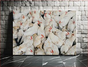 Πίνακας, Large Group of Chickens Μεγάλη Ομάδα κοτόπουλων