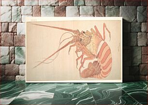 Πίνακας, Large Lobster