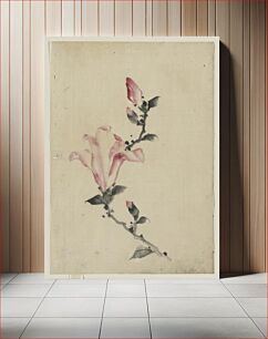 Πίνακας, [Large pink blossom on a stem with three additional buds]