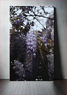 Πίνακας, Lavender Blossoms Άνθη Λεβάντας