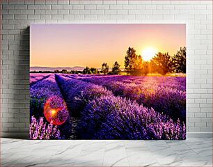 Πίνακας, Lavender Fields at Sunset Λεβάντα Πεδία στο ηλιοβασίλεμα