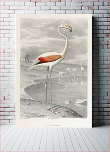 Πίνακας, Le Flammant (Flamingo) by Edouard Travies (1853), a portrait of a white flamingo in its natural habitat