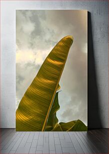 Πίνακας, Leaf Against Cloudy Sky Φύλλο ενάντια στον συννεφιασμένο ουρανό