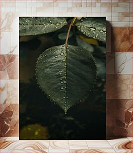 Πίνακας, Leaf with Water Droplets Φύλλο με σταγονίδια νερού