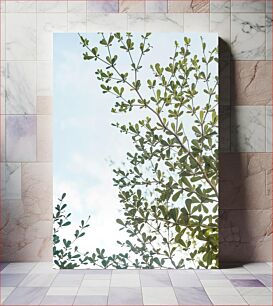 Πίνακας, Leafy Branch Against Sky Φυλλώδης κλάδος ενάντια στον ουρανό