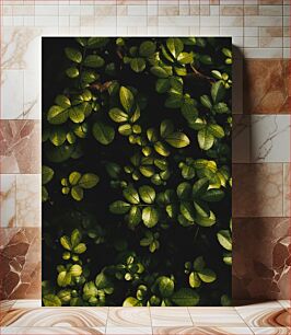 Πίνακας, Leafy Green Shadows Φυλλώδεις Πράσινες Σκιές