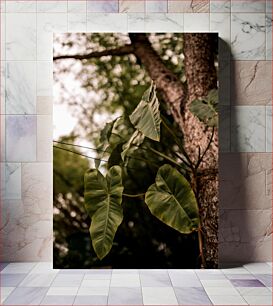 Πίνακας, Leafy Tree in Nature Φυλλώδες δέντρο στη φύση