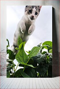 Πίνακας, Leaping Kitten Over Plants Πηδώντας γατάκι πάνω από φυτά
