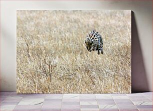Πίνακας, Leaping Serval in Dry Grassland Πηδώντας σερβάλ σε ξηρά λιβάδια