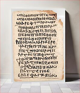 Πίνακας, Leaves from a Coptic Manuscript