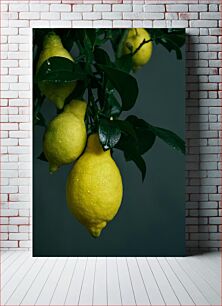 Πίνακας, Lemons on the Tree Lemons on the Tree