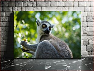 Πίνακας, Lemur Eating in the Forest Λεμούριος Τρώγοντας στο Δάσος