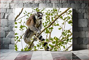 Πίνακας, Lemur in a Tree Λεμούριος σε ένα δέντρο