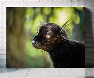 Πίνακας, Lemur in Focus Λεμούριος στην εστίαση