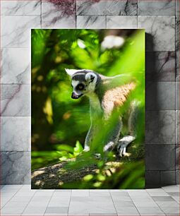 Πίνακας, Lemur in the Wilderness Λεμούριος στην ερημιά