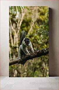 Πίνακας, Lemur on a Branch Λεμούριος σε ένα κλαδί