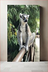 Πίνακας, Lemur on a Rail Λεμούριος σε ράγα