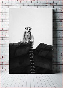Πίνακας, Lemur on a Roof Λεμούριος σε στέγη