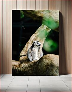 Πίνακας, Lemur on a Tree Λεμούριος σε ένα δέντρο