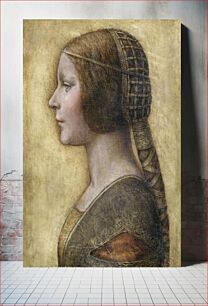 Πίνακας, Leonardo da Vinci's Profile of a Young Fiancée (1495)