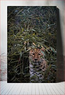 Πίνακας, Leopard Hiding in the Foliage Λεοπάρδαλη που κρύβεται στο φύλλωμα