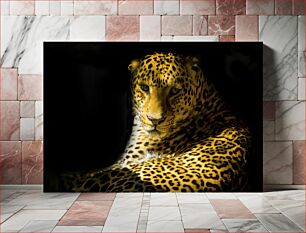 Πίνακας, Leopard in Darkness Λεοπάρδαλη στο σκοτάδι