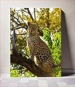 Πίνακας, Leopard in the Wild Λεοπάρδαλη στην άγρια ​​φύση