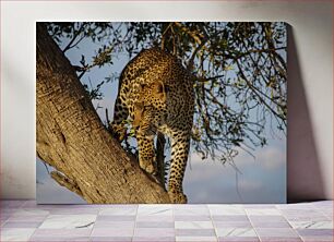 Πίνακας, Leopard in Tree Λεοπάρδαλη στο δέντρο