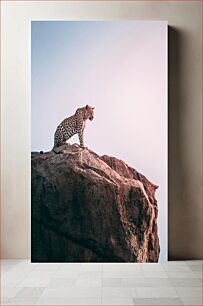 Πίνακας, Leopard on Rock Leopard on Rock