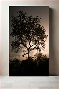 Πίνακας, Leopard Resting in a Tree at Sunset Λεοπάρδαλη που αναπαύεται σε ένα δέντρο στο ηλιοβασίλεμα