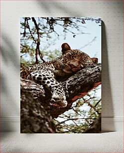 Πίνακας, Leopard Resting on Tree Λεοπάρδαλη που στηρίζεται στο δέντρο