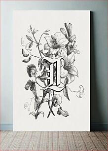 Πίνακας, Letter chromolithograph, vintage English alphabet &amp; botanical illustration by François-Frédéric Grobon