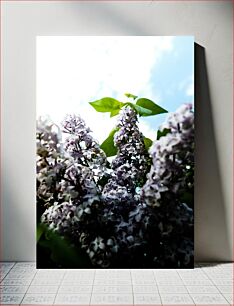 Πίνακας, Lilac Blossoms Against Sky Πασχαλιά άνθη ενάντια στον ουρανό