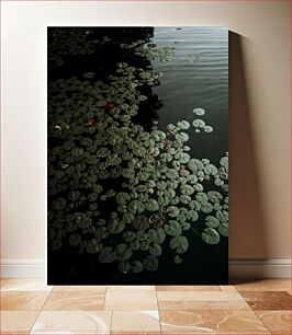 Πίνακας, Lily Pads on Water Lily Pads στο νερό