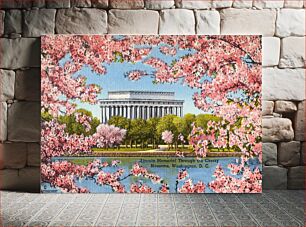 Πίνακας, Lincoln Memorial through the Cherry Blossoms, Washington, D. C. (1930–1945) chromolithograph