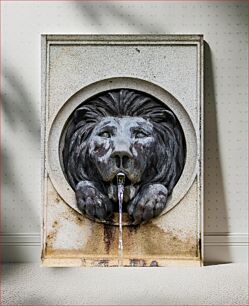 Πίνακας, Lion Fountain Sculpture Lion Fountain Sculpture