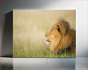 Πίνακας, Lion in the Grasslands Λιοντάρι στα λιβάδια